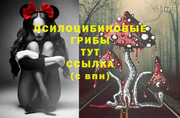 кокаин колумбия Алексин