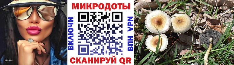 Галлюциногенные грибы Magic Shrooms  Арамиль 
